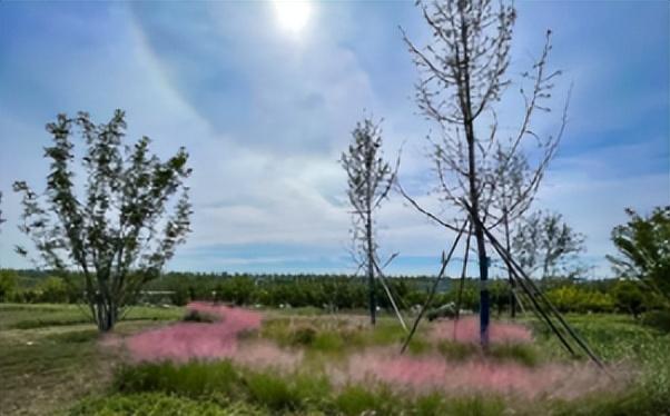 太阳周围有一圈彩虹，太阳周围为何会出现彩色光环（太阳登场自带“彩虹光环”）