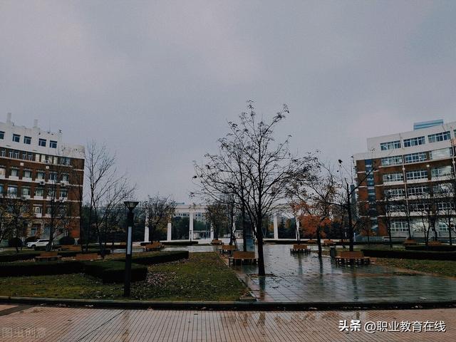 上海海事大学排名2022年最新排名，全国排名第几（吸引一家13人考入的大连海事大学）