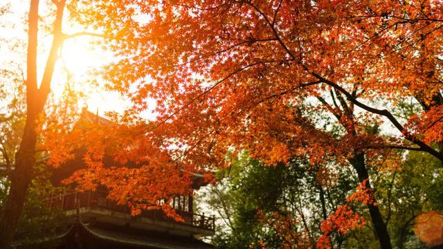 10种代表秋天的景物，秋天的景色有哪些（这10个小众绝美的秋景地）