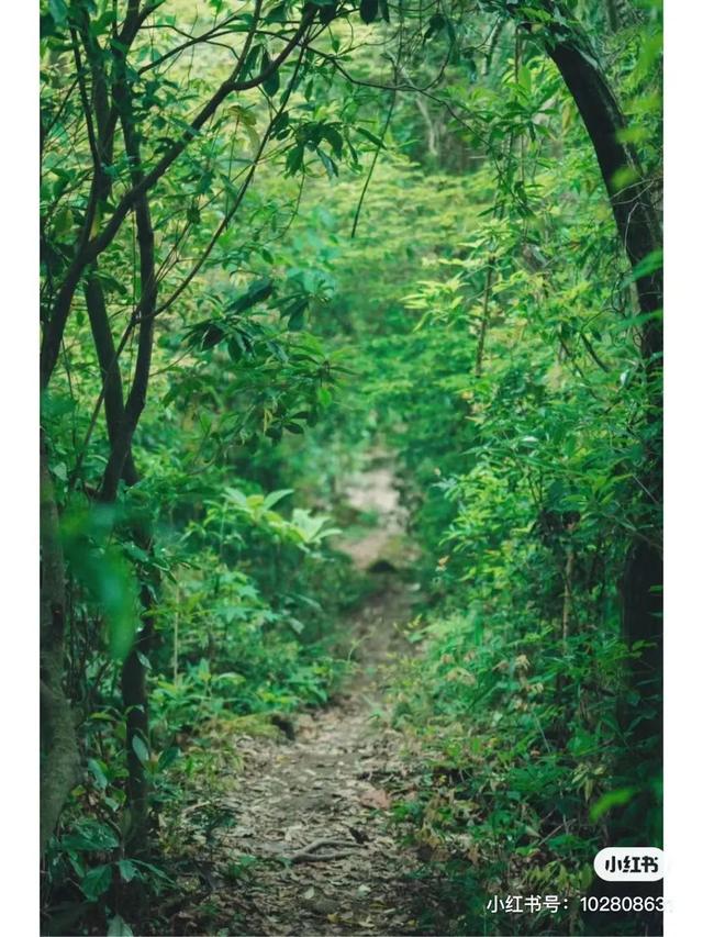 距离成都2小时小众的露营基地，成都近郊9个小众徒步露营耍水地