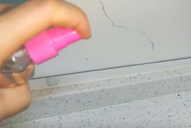 蟑螂幼崽怎么消除，蟑螂最怕三种克星（分享一个蟑螂怎么消灭最彻底的小妙招）