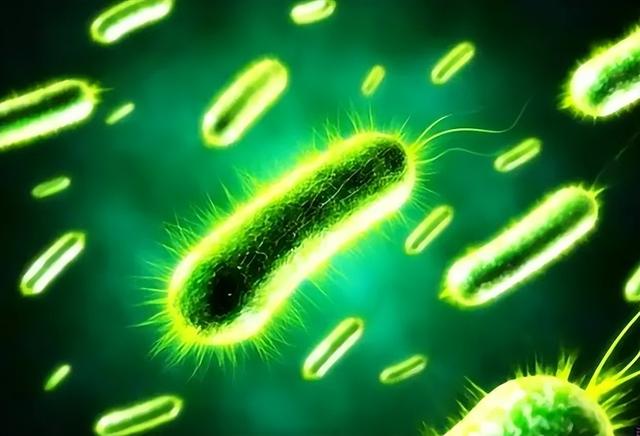 污水处理工程包括哪些内容，污水处理工程包括哪些内容呢（污水处理名词解释篇）