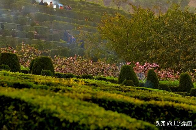 清明节可以扫墓吗，清明节能去扫墓吗（2022年清明上坟时间有什么讲究）