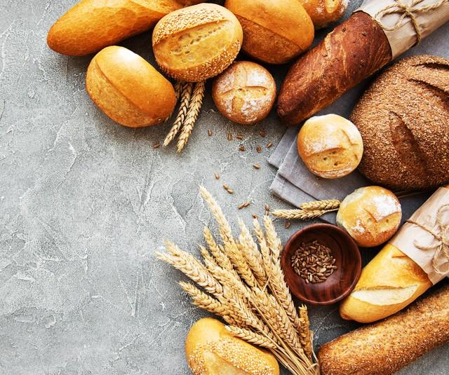 乌龟为什么有壳，乌龟为什么有壳童话（<罗马尼亚民间故事>）