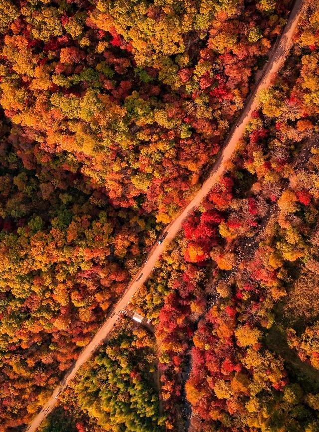 本溪特色美食有哪些，本溪特色美食有哪些小吃（国内唯一媲美北疆的地方）