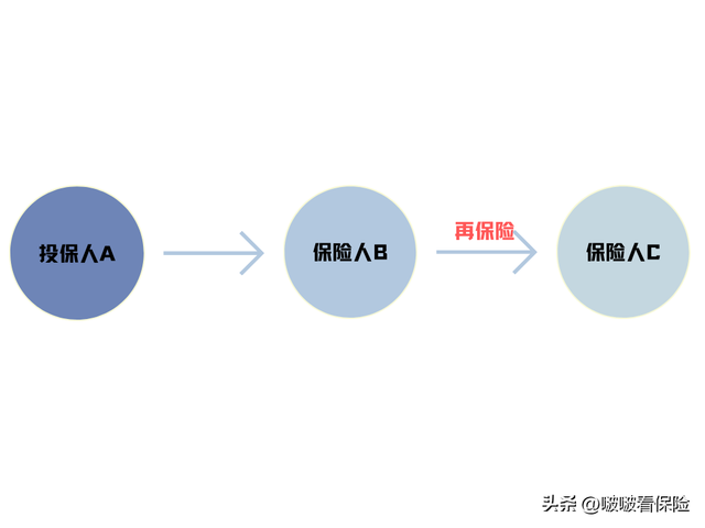 保险知识人身保险分类，人身险的分类种类（先不要急着买保险四）