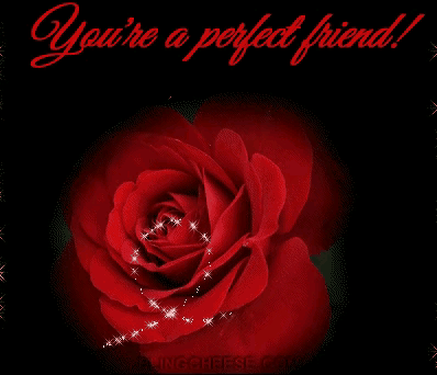 999朵玫瑰，送你999朵动态玫瑰花（999朵玫瑰邰正宵）