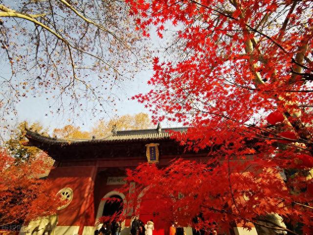 南京十大爬山好去处