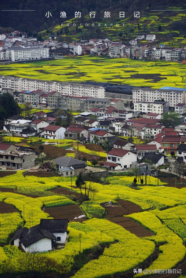 万亩油菜花海游玩攻略，奔赴川陕交界的巴山秘境