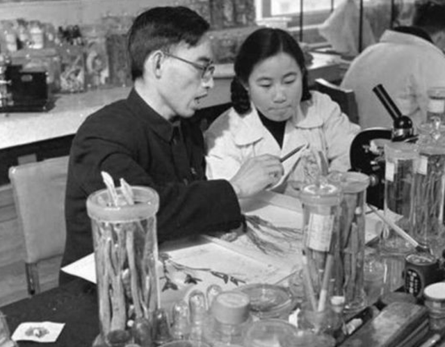 屠呦呦颁奖词100字左右，感动中国十大人物屠呦呦（研制青蒿素多年改变世界）