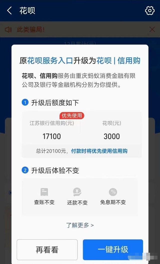 花呗是什么意思，花呗金是什么意思（别了，花呗）