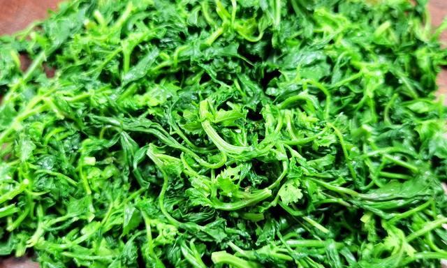 野菜灰灰菜怎么做好吃，野菜灰灰菜怎么做好吃的（却常被人“嫌弃”）