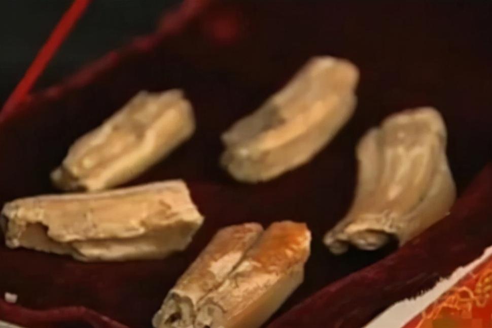 龙事件真实案例视频（1934年辽宁营口发生坠龙事件）