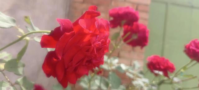 佛法修心口诀，禅宗心法口诀（修心不知如何修）