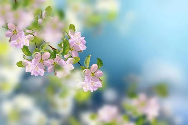 红楼梦好词好句，红楼梦的好词好句（读懂《红楼梦》的这10句名言）