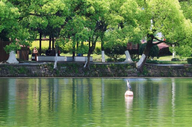 宁波有什么好玩的地方旅游景点，宁波市最值得去的景点（宁波市区有哪些好玩的景点）