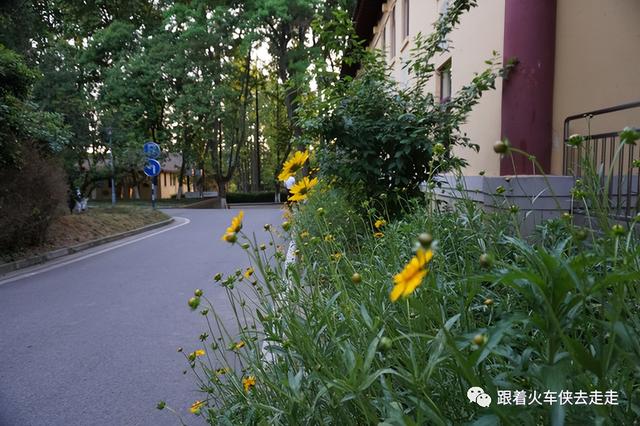 南京都有哪几个区，南京财经大学都有哪几个校区呀（南京人看南京——街区篇-T80园区）