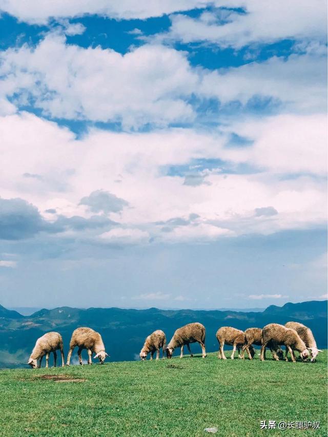 抚仙湖要门票吗，抚仙湖攻略一日游（挖到李健超爱的神仙小城）