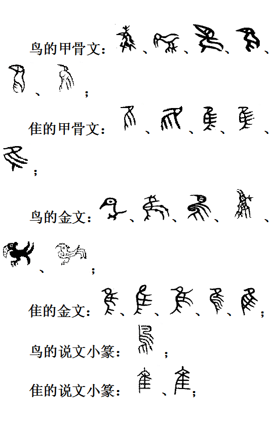 隹字旁的字有哪些，隹字旁的字有哪些字（隹字旁的字大部分和什么有关）