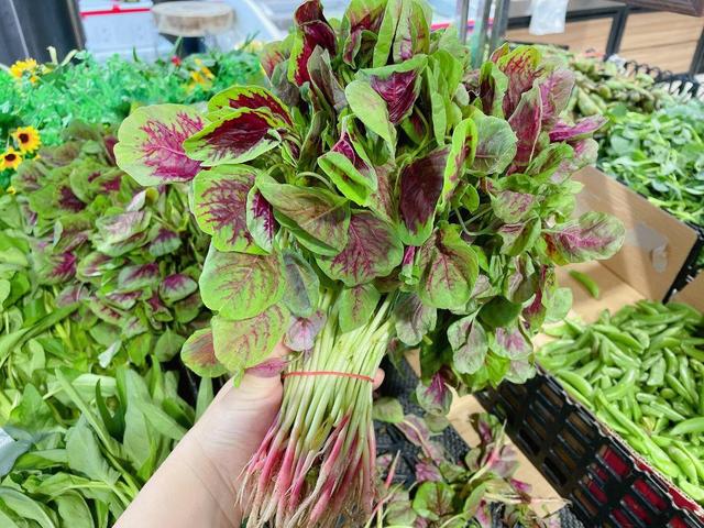 孕妇吃什么蔬菜，孕妇吃什么蔬菜好（也要吃这6种蔬菜）