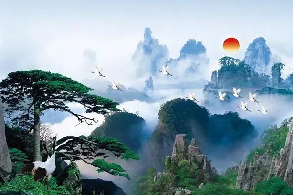 松树的寓意象征是什么，松树代表什么（迎客松的寓意是什么呢）