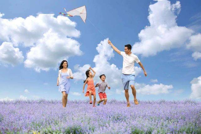 小白鼠多少钱一只，小白鼠（美国将8只白鼠放进“乐园”）