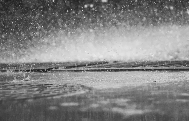 海苔（海苔亿万富翁，靠卖海苔2年内赚4000万（买海苔的亿万富翁）