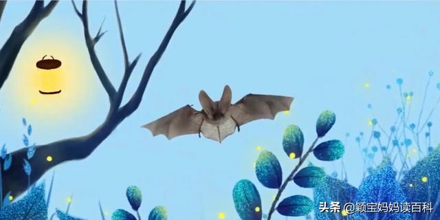 什么叫哺乳动物，什么叫哺乳动物怎么听一遍啊（<二十一>——强大的哺乳动物）
