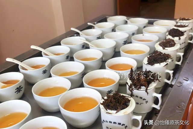 绿茶有哪些品种，红茶有哪些品种排名（一次性把中国茶树品种及特点讲清楚）