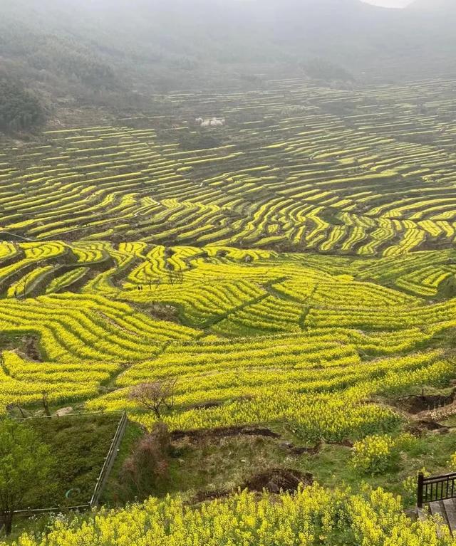 上海周边自驾游攻略，上海自驾游推荐景点（上海周边7大小众旅行目的地）