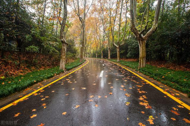 与春天有关的成语，春天的成语有哪些（春天的描写与成语）