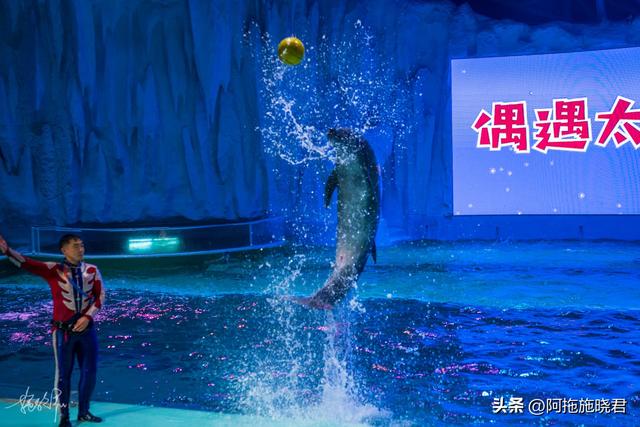 哈尔滨旅游攻略自由行攻略最新，哈尔滨一日游攻略