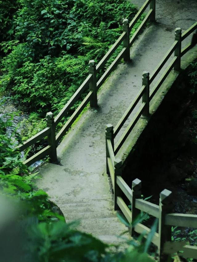 什邡市景点，什邡景点旅游景点（成都周边绝美“禁林”）