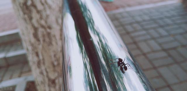 食盐的九大妙用你平时注意过吗，食盐的功效与作用、禁忌和食用方法（食盐的十种奇妙用途你知道吗）