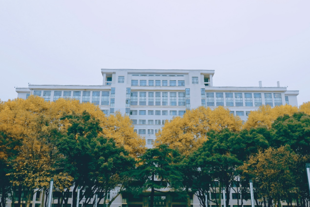 22年十大网络流行语，22年十大网络流行语有哪些（2022十大流行语新鲜出炉）