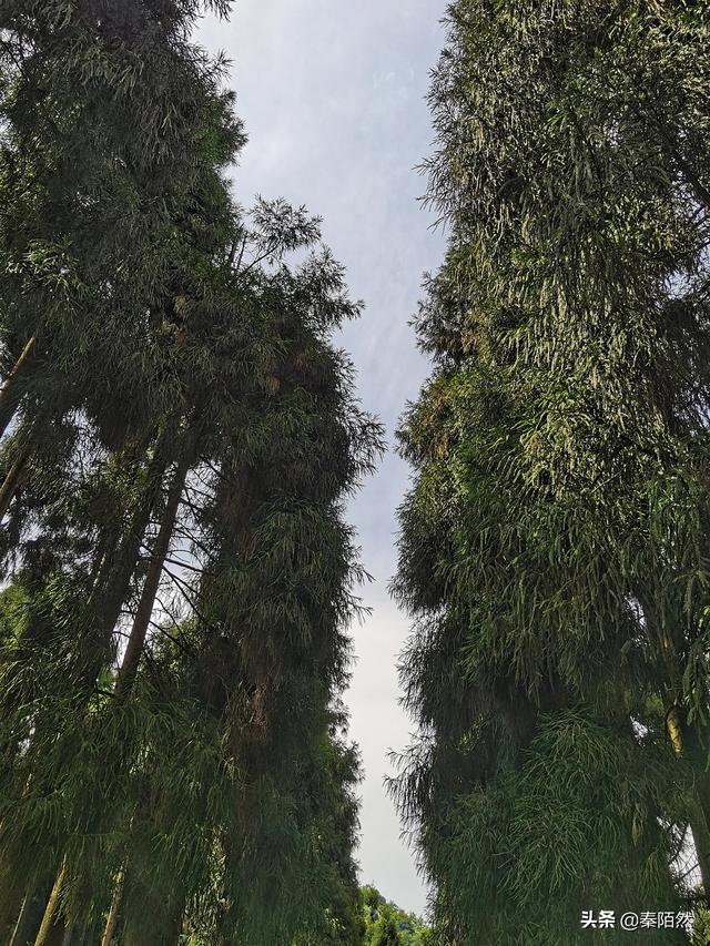 怎样游览邛崃天台山，去邛崃天台山（2022夏日自驾旅行体验）