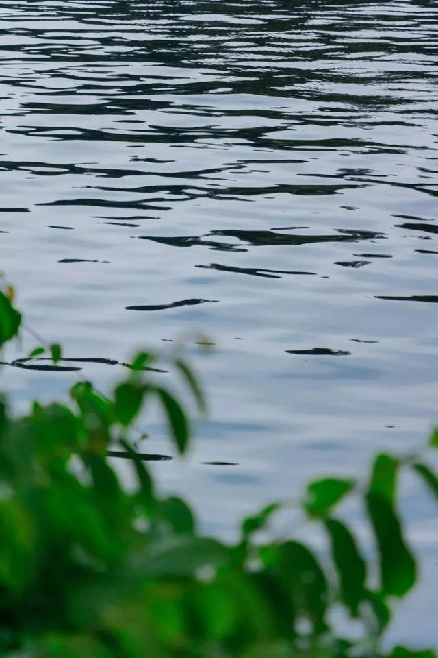 深圳旅游景点大全介绍，深圳的旅游景点有哪些地方（来深圳这10个地方玩吧）