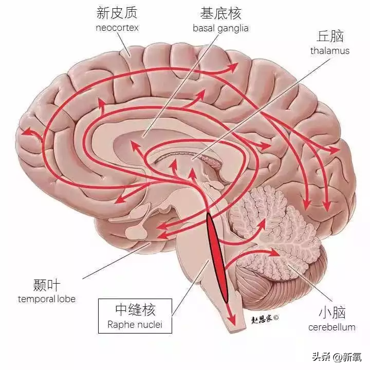 朴敏英演的电视剧，朴敏英十部经典电视剧（朴敏英的《月水金火木土》甜疯了）