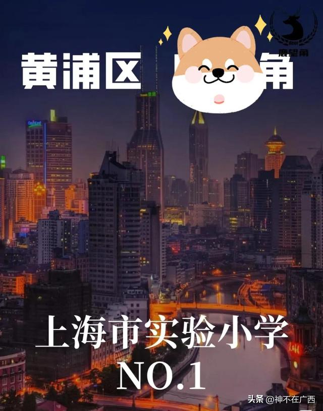 上海重点小学梯队排名，上海最难进的十大小学