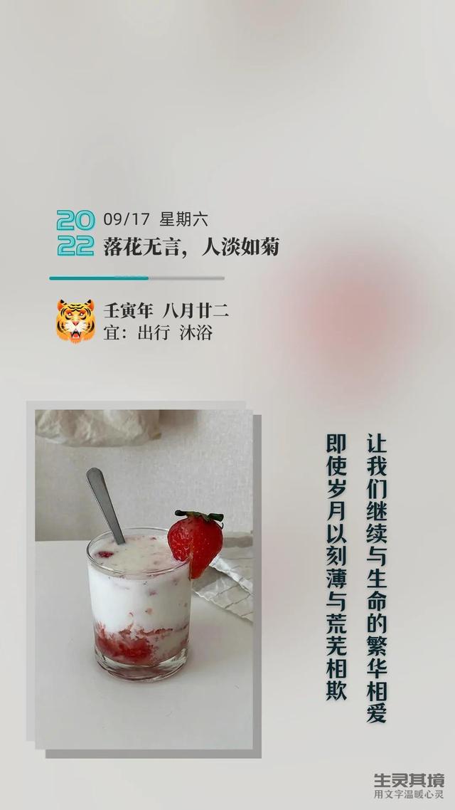 女人感慨岁月的句子，30岁女人感慨岁月的句子（岁月静好；你若不来）