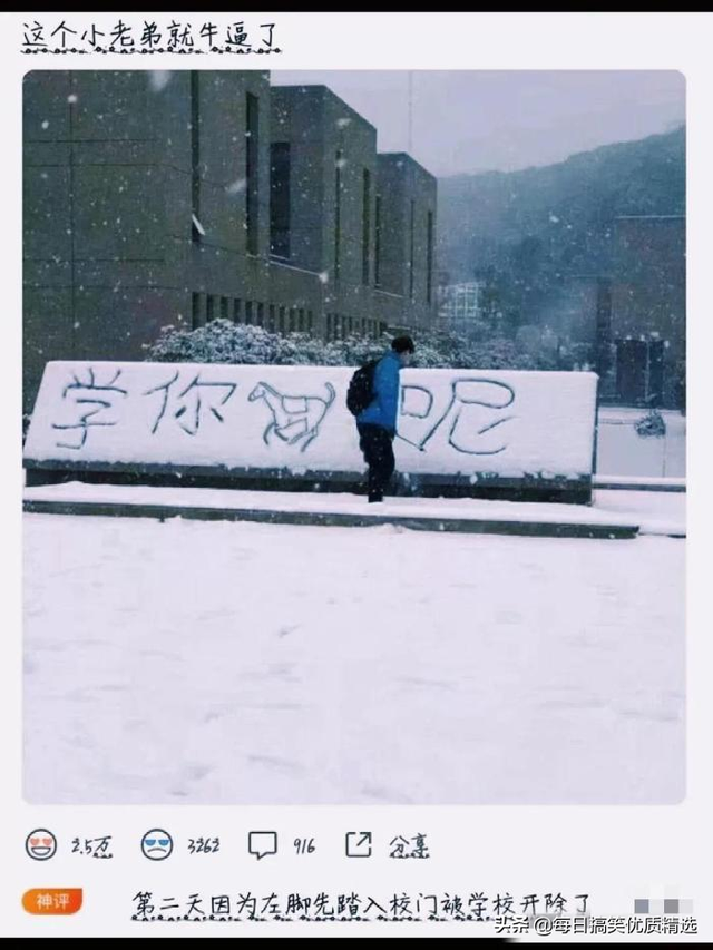 别扒拉我恐龙情侣头像，恐龙情头微信（神回复：这是什么样的古董）
