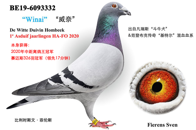 白雪公主出自哪里，白雪公主出自哪里故事（欧洲强豪优秀血统融合的“威奈直子”）