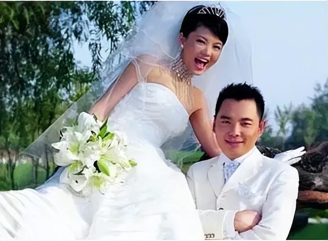 李湘到底离婚了没有，李湘和王岳伦就彻底放飞自我