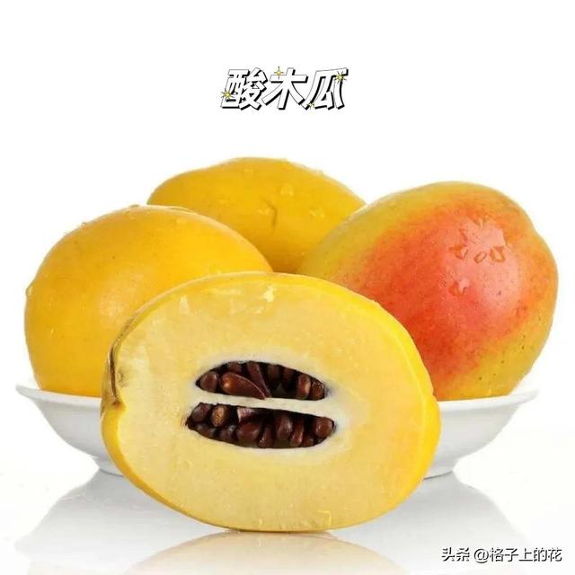 木瓜为什么是苦的，其实它才是真正的本土木瓜