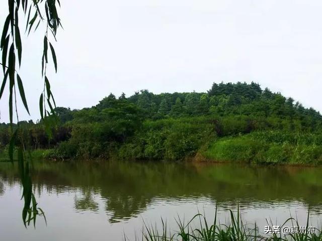 仪征附近有哪些景点，仪征市境内五座山