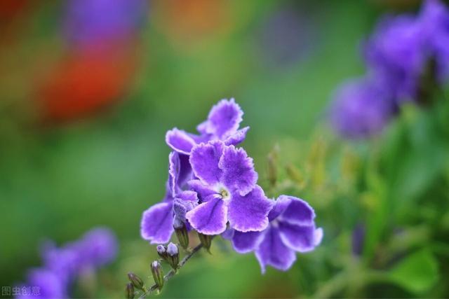 想念一个人的说说，想念一个人的说说伤感（一叶知秋）