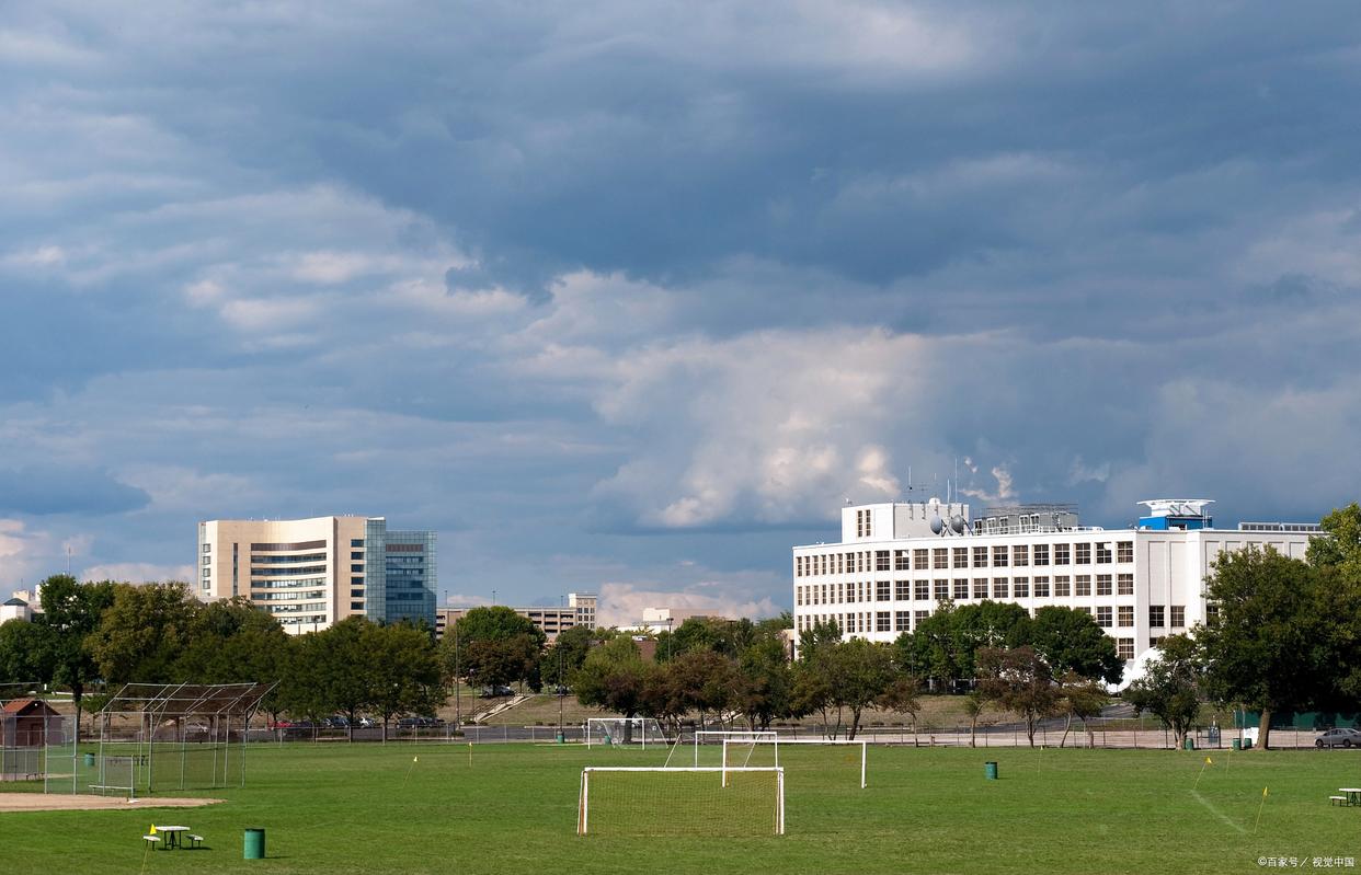 上海华文外国语学院（上海四所大学被官媒点名批评）