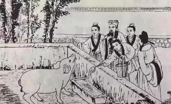 回民不能吃什么，回族不能吃什么（话说明朝的猪）