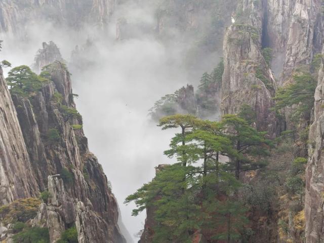 黄山云海奇观美景，黄山又现云海奇观 宛若仙境