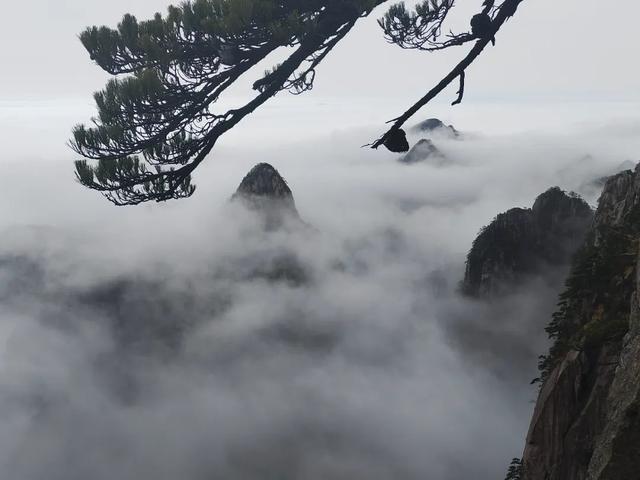 黄山云海奇观美景，黄山又现云海奇观 宛若仙境